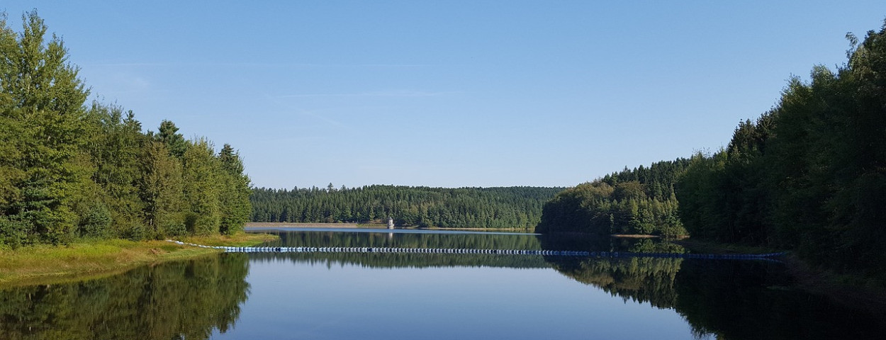 dam drinkwater water natuur