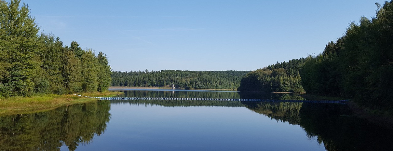 dam drinkwater water natuur