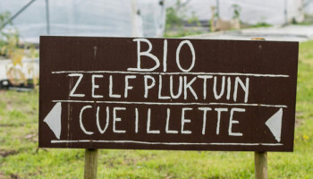 BioForum: “Extreme administratie-overlast is niet in verhouding”