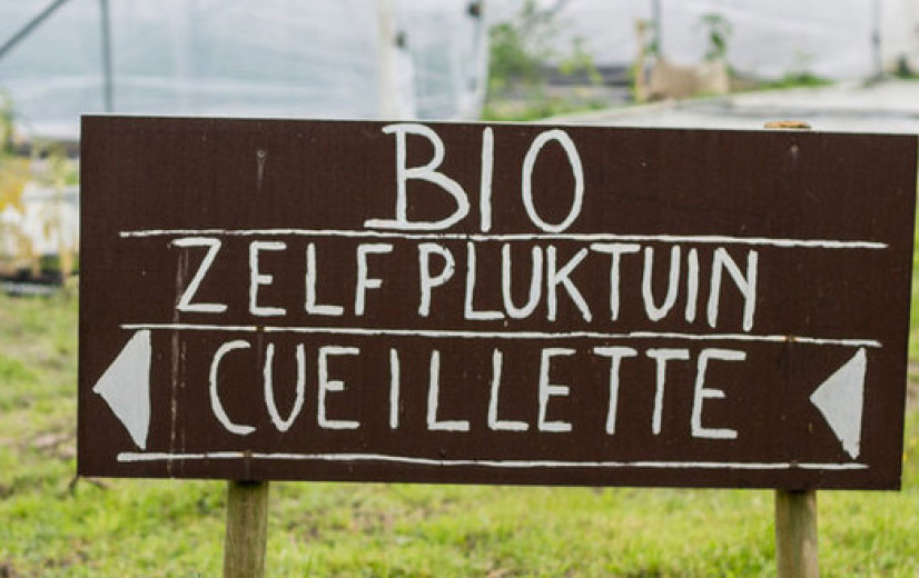 BioForum: “Extreme administratie-overlast is niet in verhouding”
