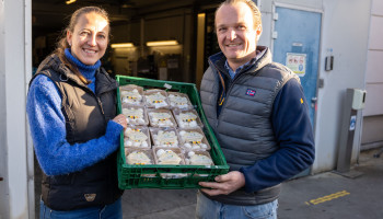 Sector in nood, maar teler gelooft heilig in toekomst duurzame champignons