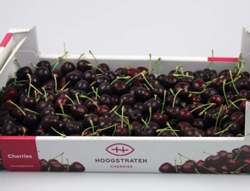 Hydrokoeling houdt kersen langer mooi en vers