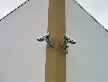 Camera’s binnenkort wettelijk verplicht in alle slachthuizen