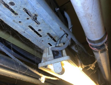 Illegale camera’s gevonden in varkensstal