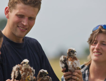 Landbouwers ontfermen zich over hamster en kiekendief
