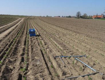 Vlaams Ereteken voor werk van Boeren op een Kruispunt