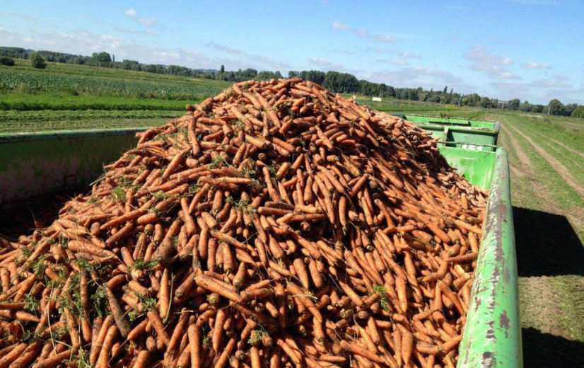 Start-up richt zich rechtstreeks tot boeren in strijd tegen voedselverspilling