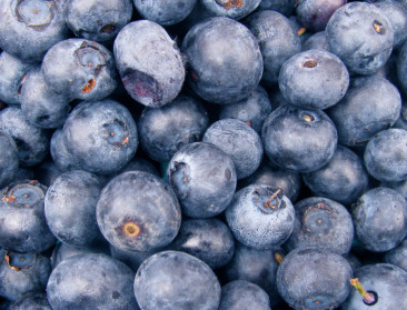 Belg consumeert steeds meer blauwe bessen