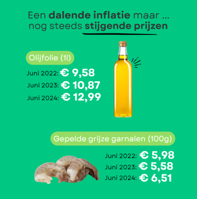 Schermafbeelding 2024-07-08 161310