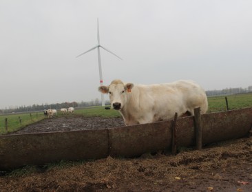 "32 melkveebedrijven kunnen 338 ton CO2 besparen"