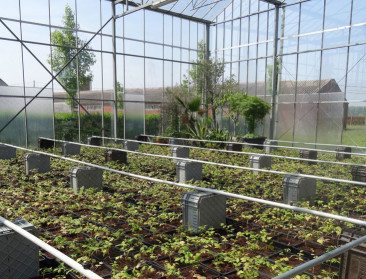 Overheid gaf investeringssteun aan 2.400 landbouwers