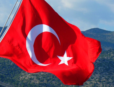 Turkije stuurt 40 Nederlandse koeien terug naar af