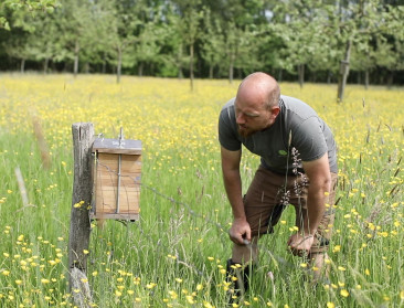 Bioboomgaard uit Halen is de "meest bijvriendelijke boomgaard"