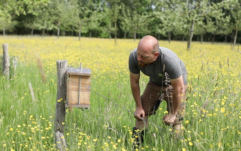 Bioboomgaard uit Halen is de "meest bijvriendelijke boomgaard"