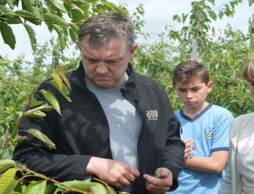 Schauvliege meet schade door noodweer op