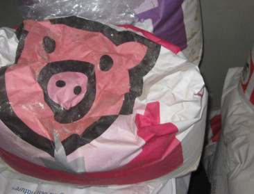 Varkenshouderij werkt aan strategie en hoopt op beter