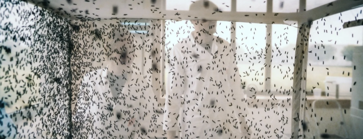 Insecten_COP_ThomasMore1