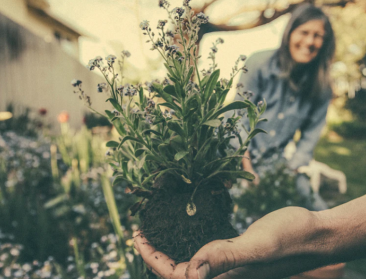 Leerkrachten springen bij in lege tuinbouwschool