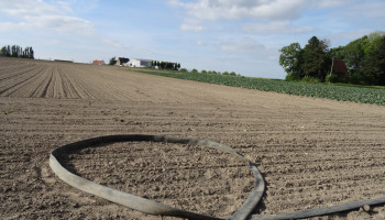 Droogtecommissie roept landbouwers op om water zoveel mogelijk vast te houden