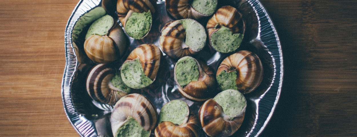escargot-925593_1920