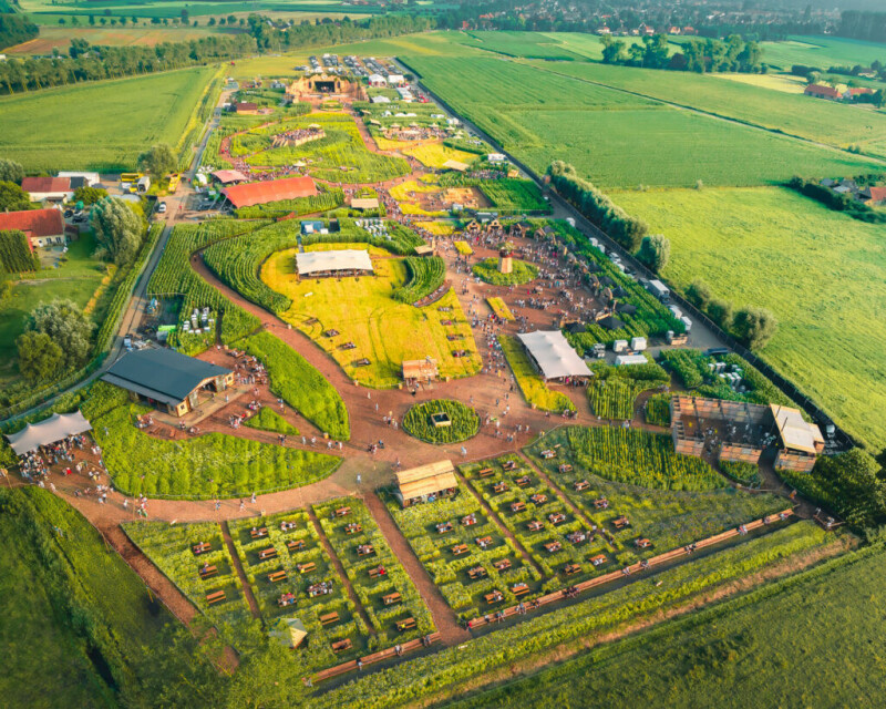 Campo-IG-1024x819