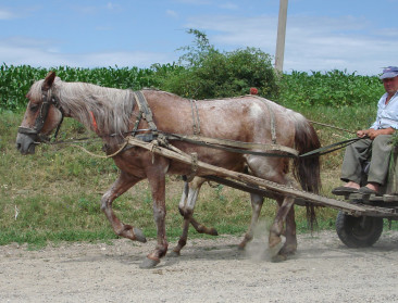 EU-Associatieverdragen met Moldavië en Georgië in voege