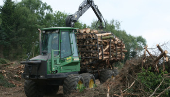 “Wereldwijde bossen in crisis”: landbouw en branden zetten 2030-doelen onder druk