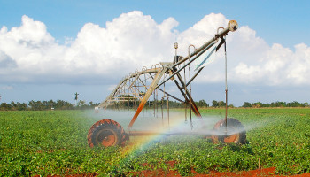 Irrigatie werkt averechts tegen hittestress en waterschaarste, waarschuwt VUB-onderzoek
