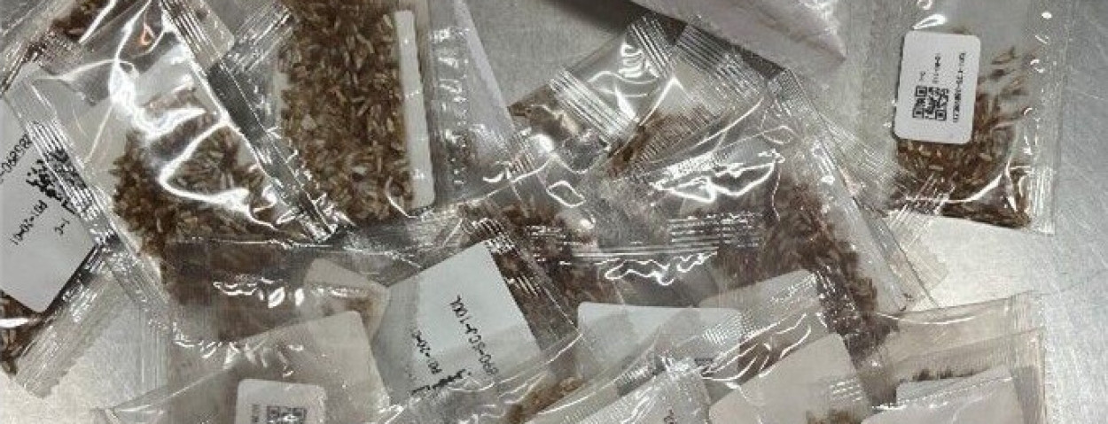 zaden pakketten favv