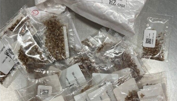 FAVV onderschept 180 postpakketten zaaizaden besteld via buitenlandse webshop