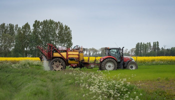 Steeds minder gewasbescherming toegelaten, maar wetgeving te laks volgens PAN Europe