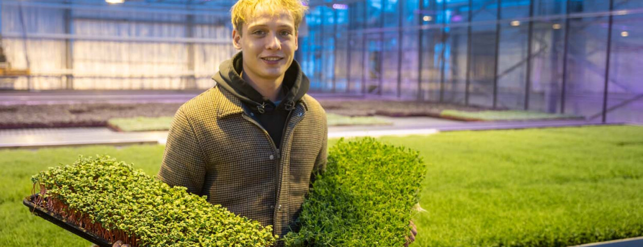 Cesar Van der Spurt microgroente