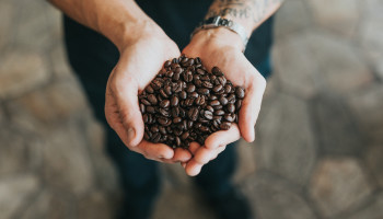 Koffie en cacao naar nieuwe hoogtes: Winkelkar 28% duurder op drie jaar tijd