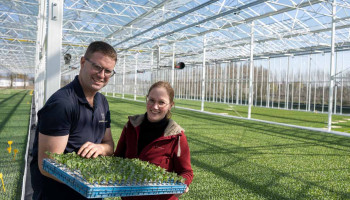 Gloednieuwe serre wacht op bestellingen industriegroente