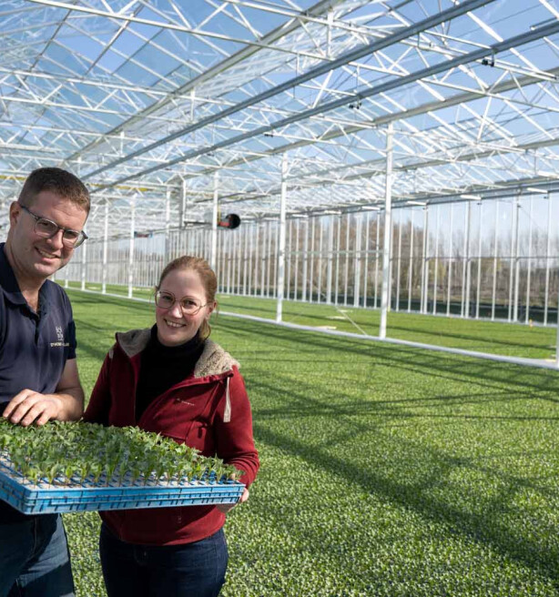 Gloednieuwe serre wacht op bestellingen van industriegroentetelers