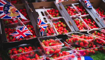 Vandaag geoogst, morgen in Londen: stijgende interesse in VK als afzetmarkt voor groenten en fruit