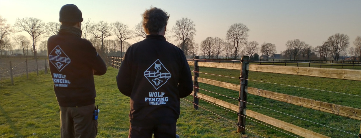 thumbnail_WFTB_pepijnendirk_paardenomheining_cDiemerVercayie