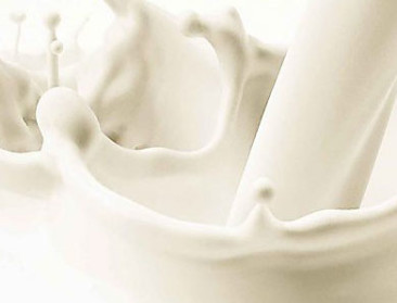 Handige website maakt melkprijsvergelijking eenvoudig