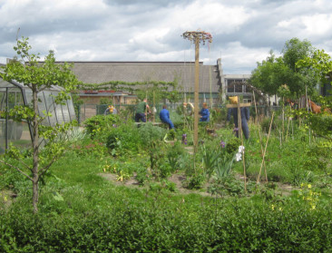 Vlaming kan in eigen tuin bijen grote dienst bewijzen