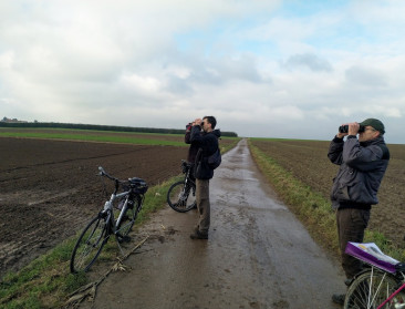 4 jaar Plan Leeuwerik: Zangvogel zingt weer in koor in Bilzen