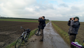 4 jaar Plan Leeuwerik: Zangvogel zingt weer in koor in Bilzen