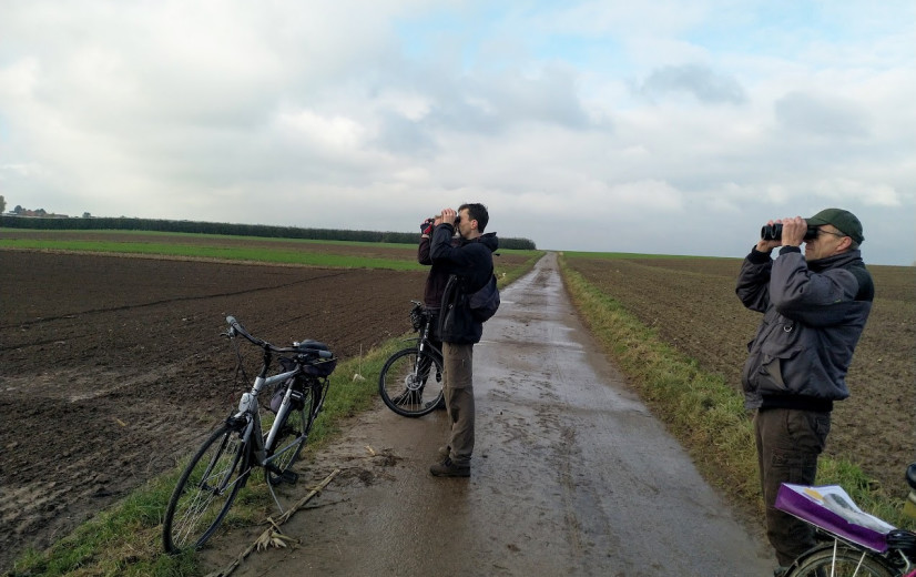 4 jaar Plan Leeuwerik: Zangvogel zingt weer in koor in Bilzen