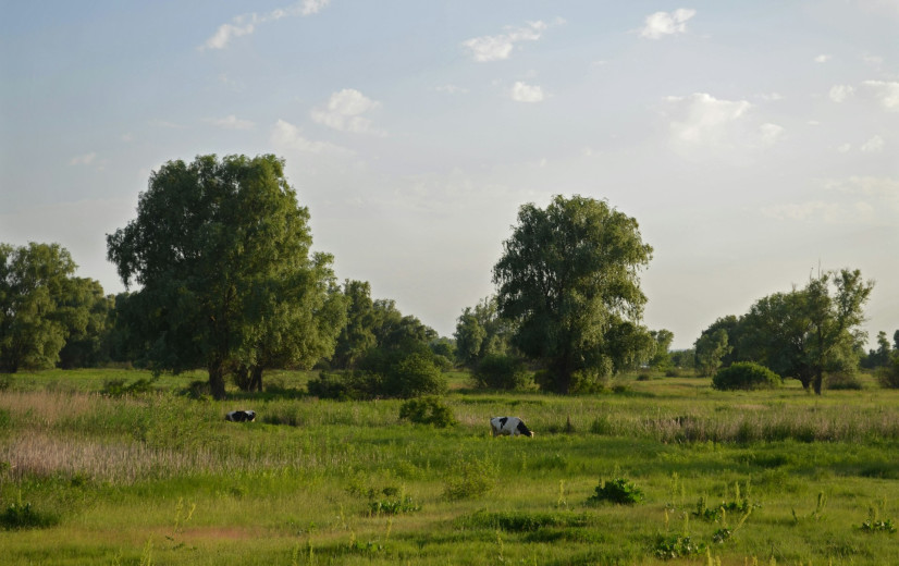 N-VA haalt fors uit naar cd&v over pleidooi herziening stikstofdecreet