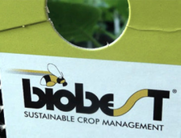 Kempens bedrijf Biobest verstevigt positie in VS