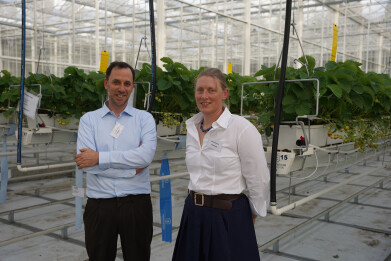 Tom en Els van Harvestis