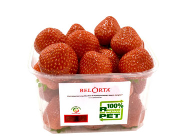 BelOrta verpakt aardbeien in 100 procent circulaire verpakking