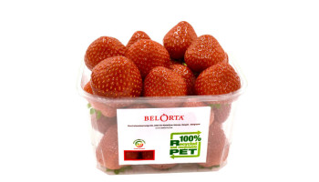 BelOrta verpakt aardbeien in 100 procent circulaire verpakking