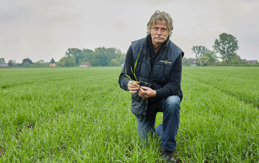 ABS roept op: "Teel minder aardappelen"