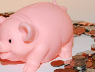AVP en corona hebben Belgische varkenshouders al 343,3 miljoen euro gekost