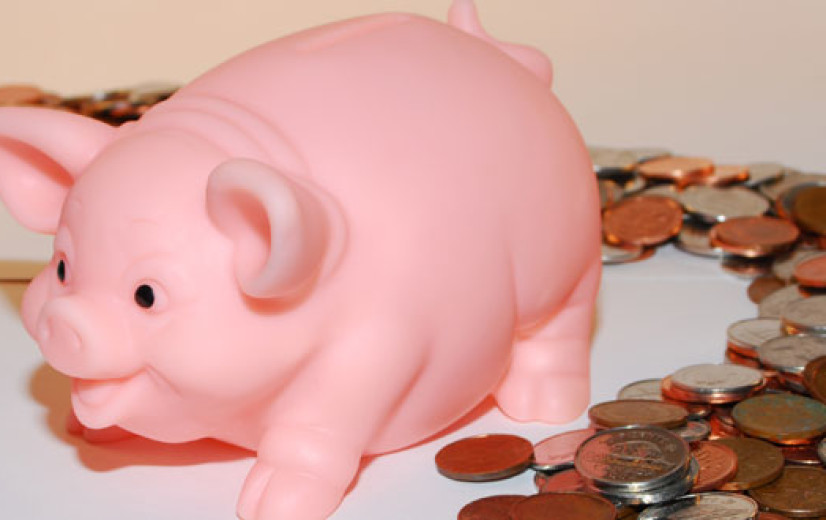 AVP en corona hebben Belgische varkenshouders al 343,3 miljoen euro gekost